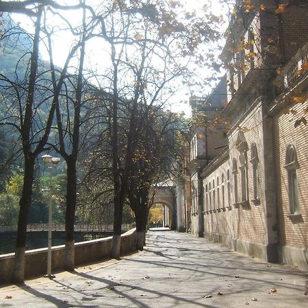 Hotel Pensiunea Floare De Colt Băile Herculane Exteriér fotografie