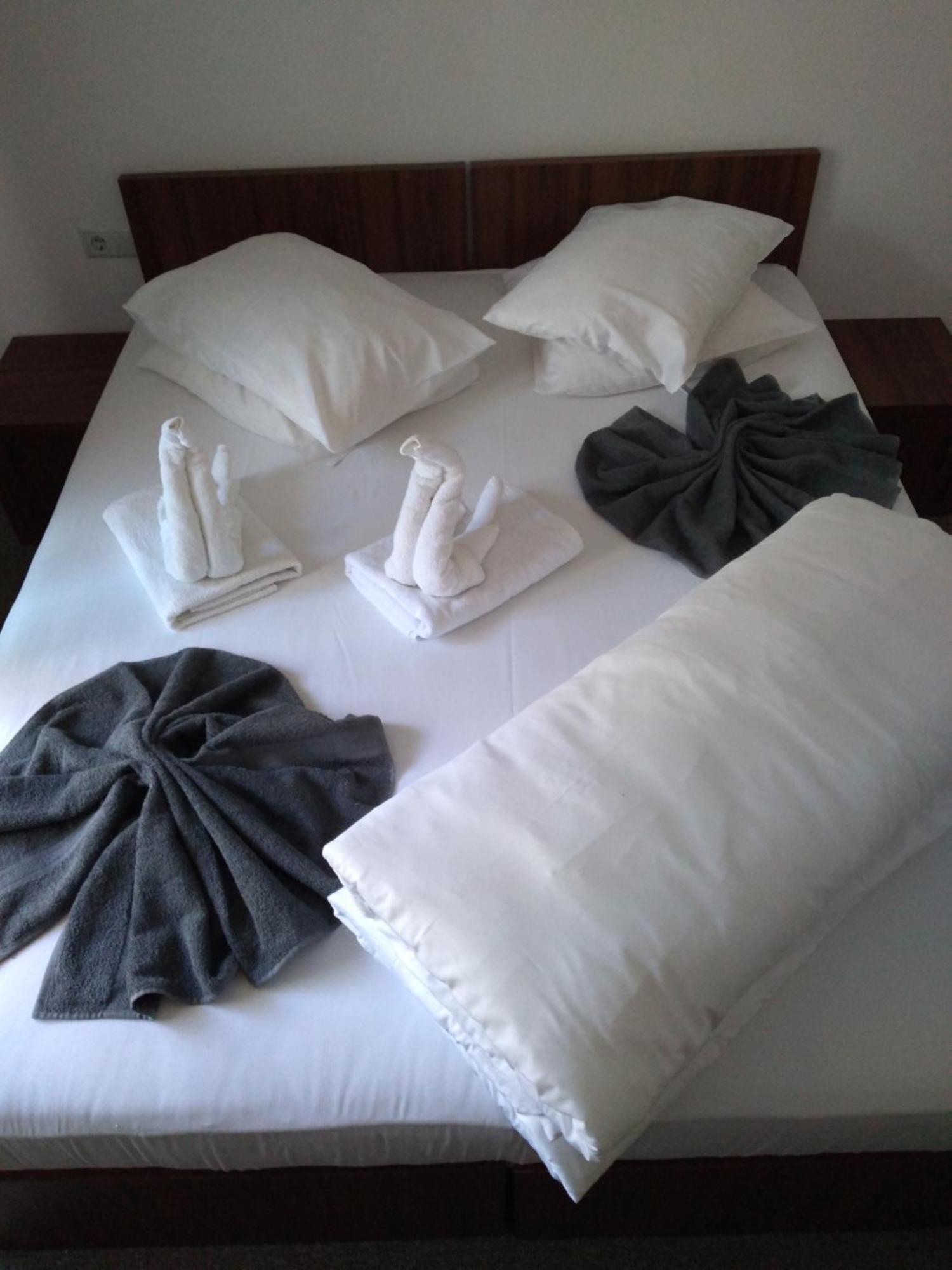 Hotel Pensiunea Floare De Colt Băile Herculane Pokoj fotografie
