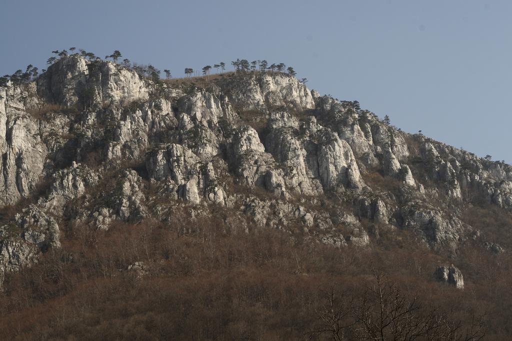 Hotel Pensiunea Floare De Colt Băile Herculane Exteriér fotografie