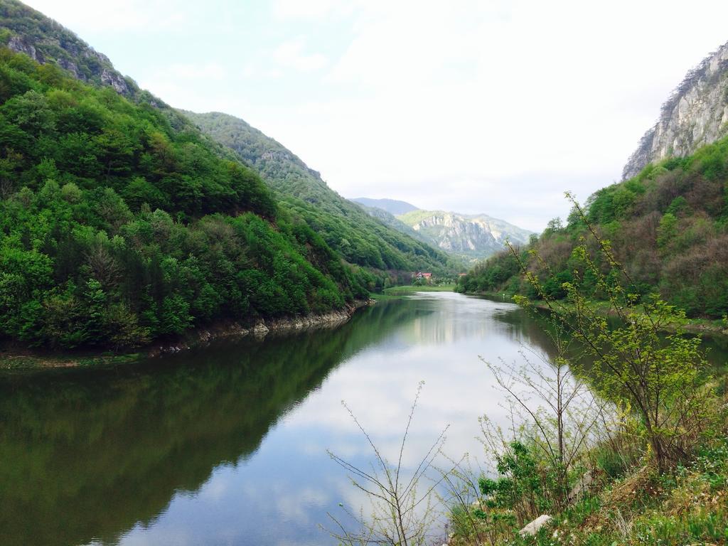Hotel Pensiunea Floare De Colt Băile Herculane Exteriér fotografie