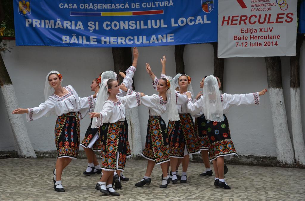 Hotel Pensiunea Floare De Colt Băile Herculane Exteriér fotografie